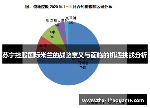 苏宁控股国际米兰的战略意义与面临的机遇挑战分析 苏宁控股国际米兰的战略意义与面临的机遇挑战分析