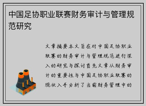 中国足协职业联赛财务审计与管理规范研究 中国足协职业联赛财务审计与管理规范研究